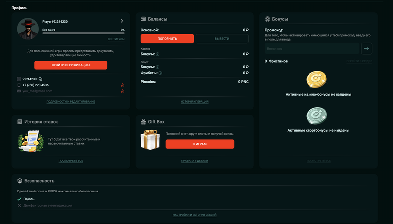 Верификация аккаунта в Pinco Casino